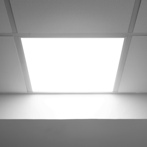 Popular Ceiling Trends To Consider-image1.png