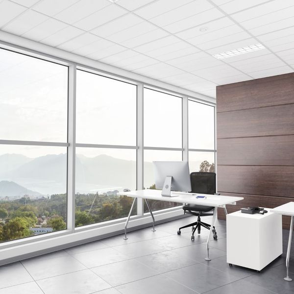 Office with acoustic ceiling tiles