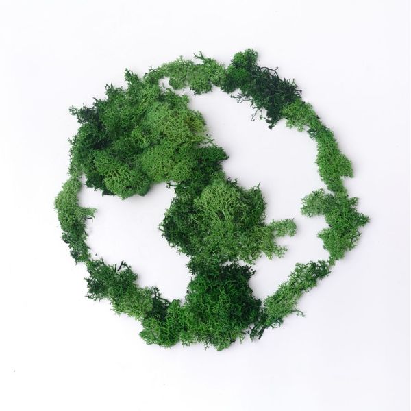 sustainable planet