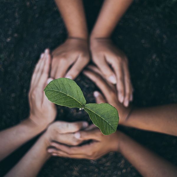 protecting the environment