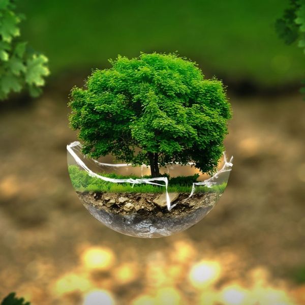 healthy environment healthy environment