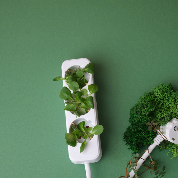 Eco-Friendly Eco-Friendly