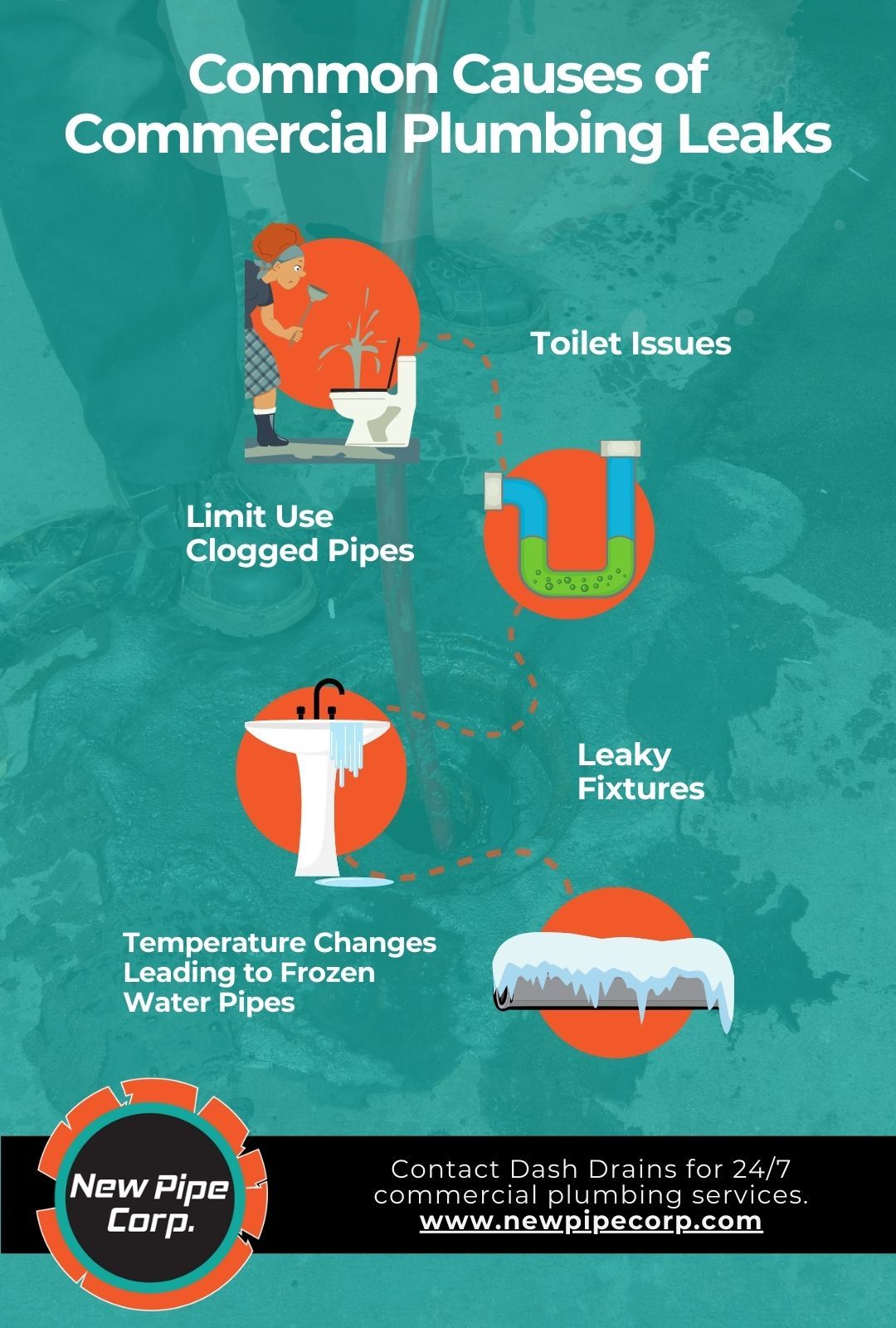 M14161 - Infographic - Common Causes of Commercial Plumbing Leaks.jpg