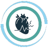 Cardiovascular Studies icon