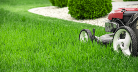 mowing-lawn-2022-03-11-08-58-20-utc1-627811c59497b-280x147.png