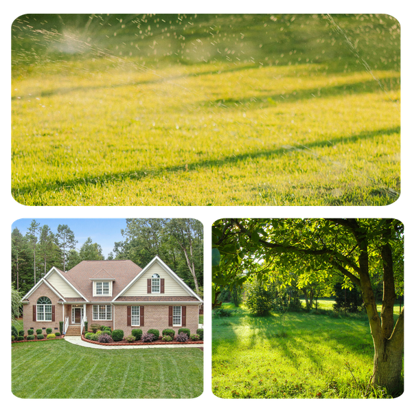 lawncare 1.png