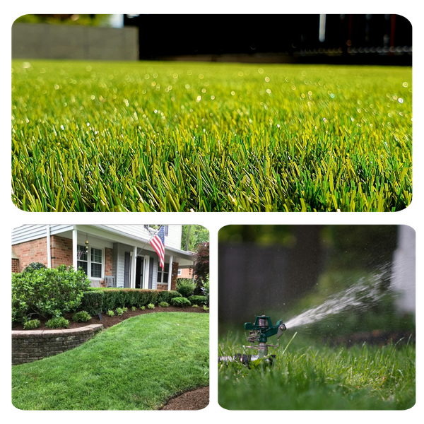 lawncare 3.png