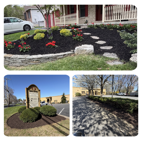 landscaping 1 (1).png