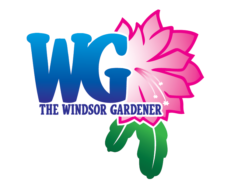 The Windsor Gardener