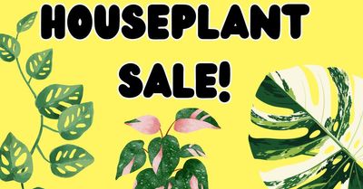 Countdown to (1).jpg