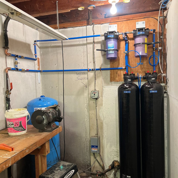 PFAS removal system