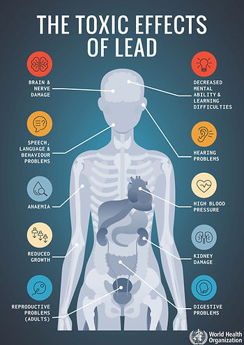 The toxic effects of lead infographic