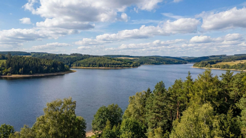 A sweeping landscape photo of a large reservoir with trees under a partly cloudy sky. A sweeping landscape photo of a large reservoir with trees under a partly cloudy sky.
