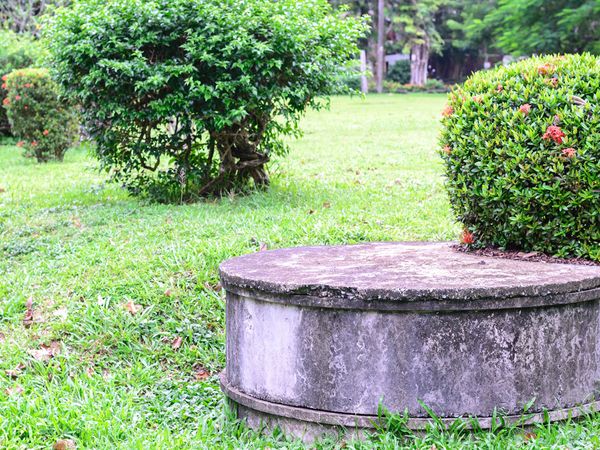 Septic tank in someone's back yard