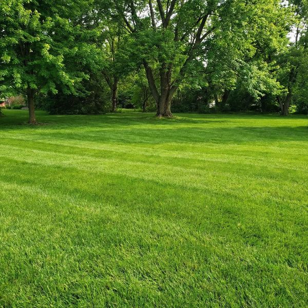 Blog ImagesArtboard 3.jpg