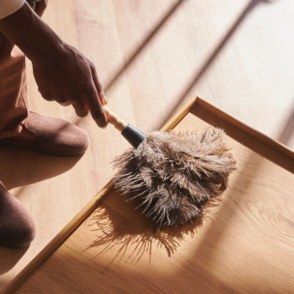 dusting furniture 