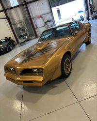 1978 Y88 Gold Special Trans Am