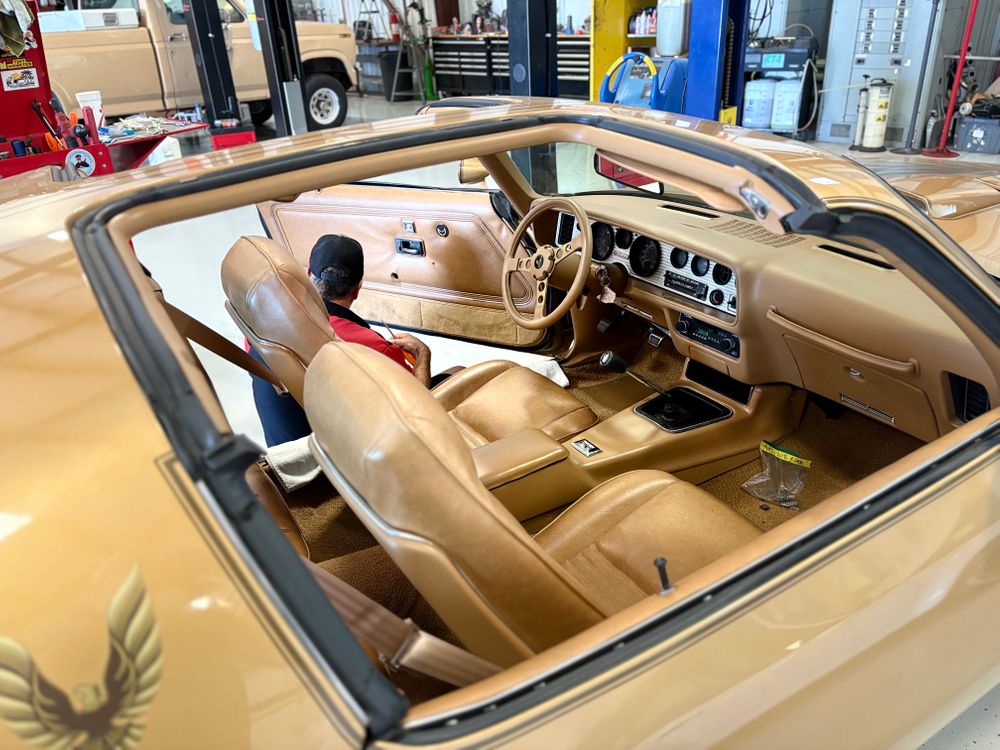 1978TransAm_3.jpeg