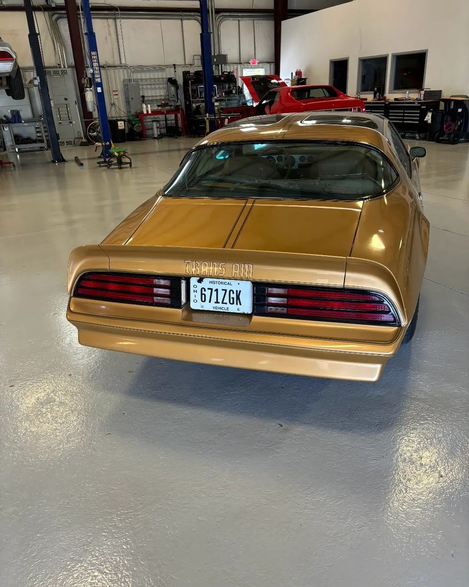 TransAm2.jpg