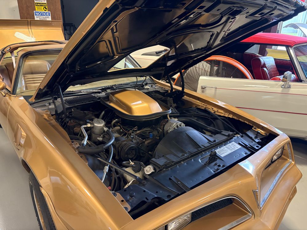 1978TransAm_4.jpg