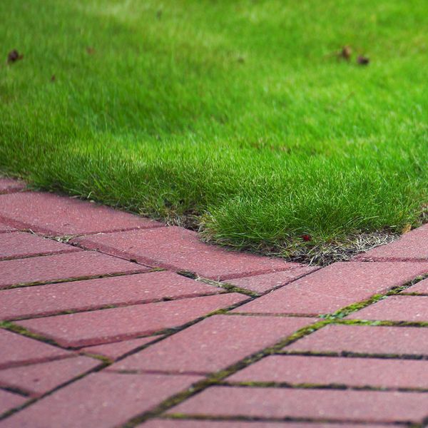 red pavers in green grass
