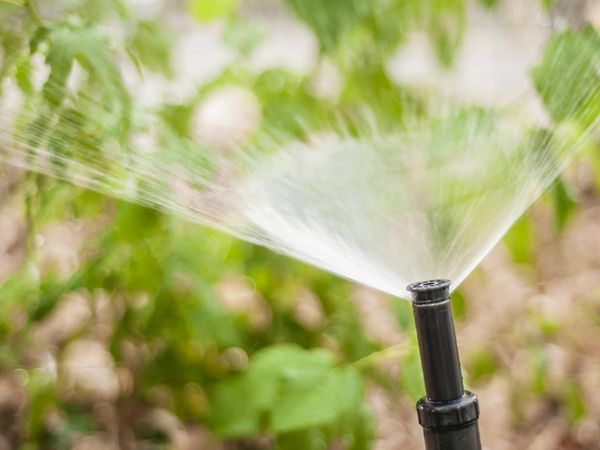 An image of a lawn sprinkler spreading water 