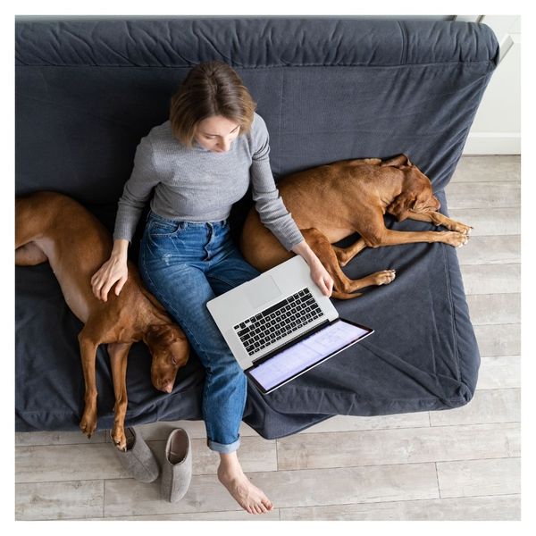 dogs and person on couch