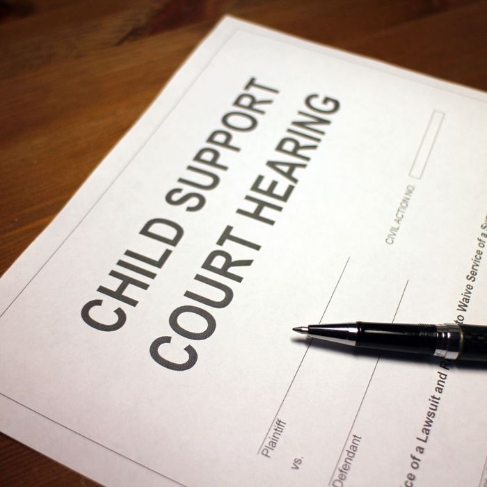 Child support court hearing documents