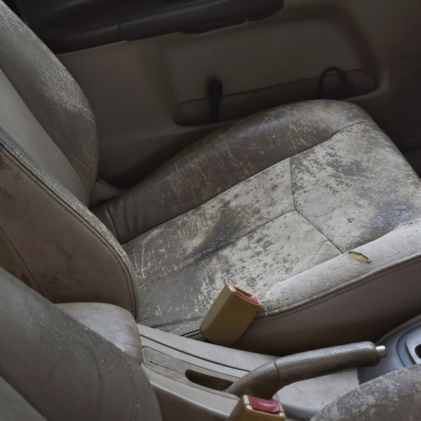 ProtectCarUpholstery.jpg