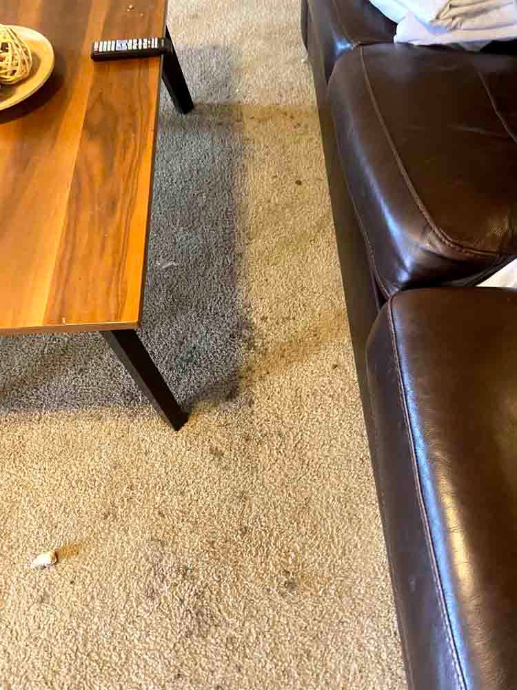 ACS-Property-Cleaning-LLC-29.jpg