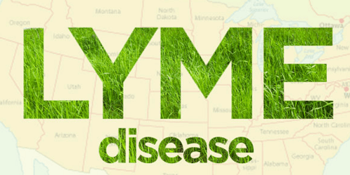 lyme-disease-in-herndon-va.png