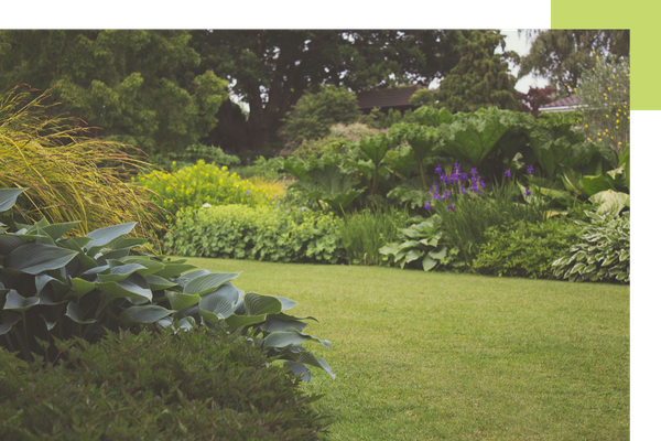 A well maintained yard