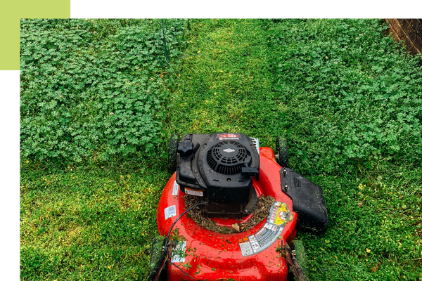 Lawnmower
