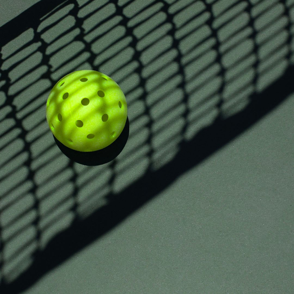 pickleball ball on the court covered by the shadow of the net