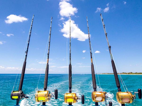fishing poles in the back of a boat