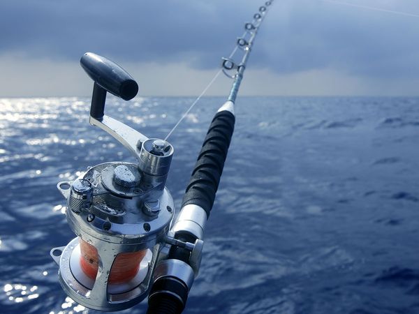 Image of a fishing pole in the water