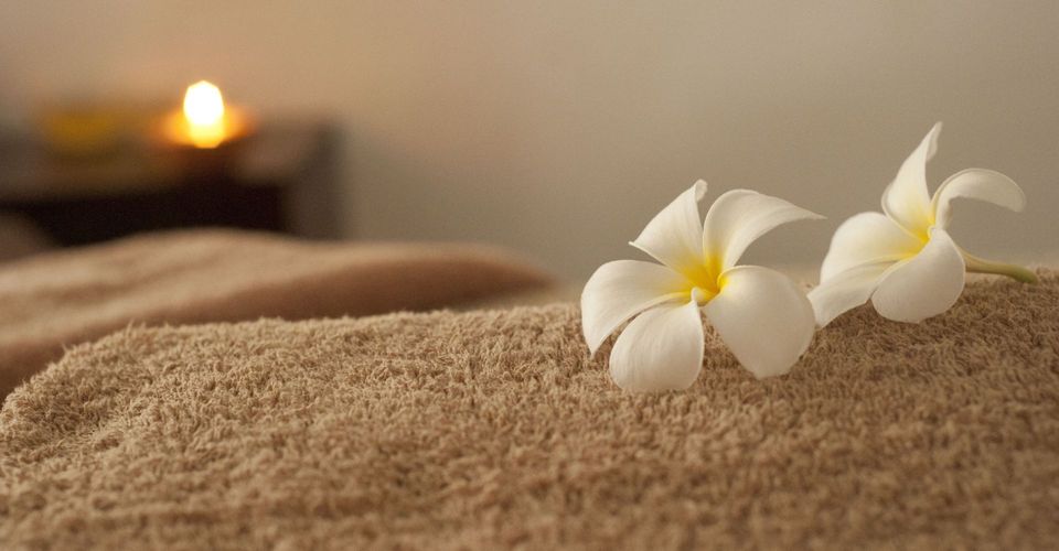 Two flowers sitting on a soft towel.