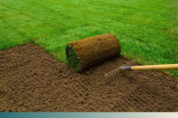sod laying sod laying