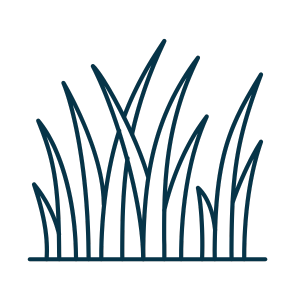 lawn icon