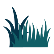 lawn icon