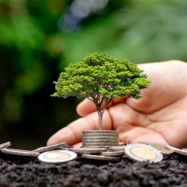 Why a Strong Bottom Line is Essential for Sustainable Impact2.png