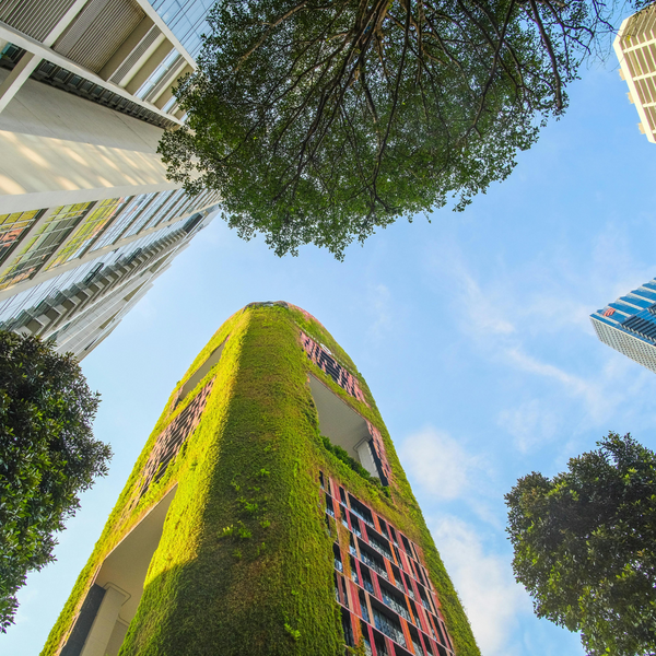 Why a Strong Bottom Line is Essential for Sustainable Impact1.png
