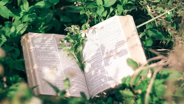 Bible surrounded by leaves and flowers