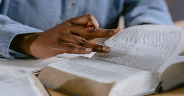 person reading the bible