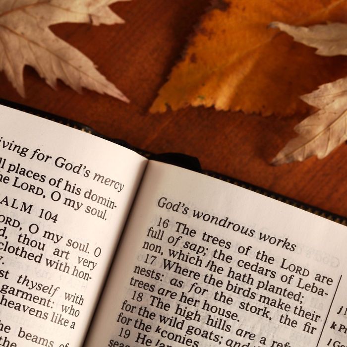 A Bible on a Thanksgiving Table