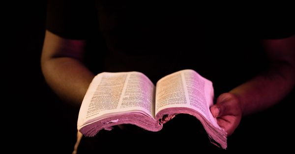 person holding open bible