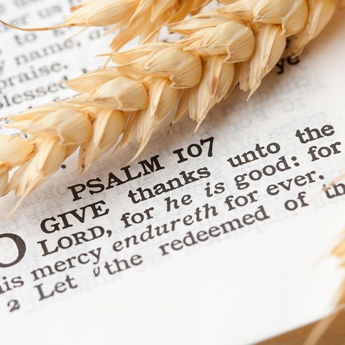 A Bible verse with wheat over it