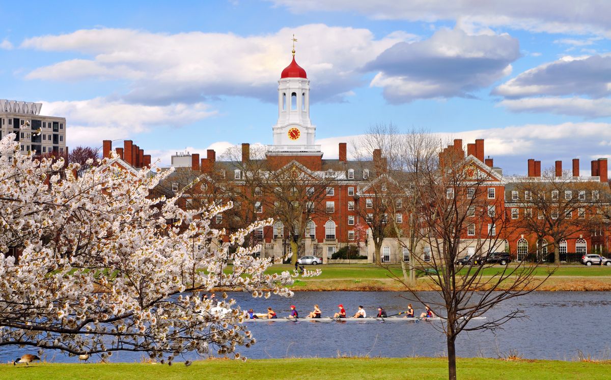 harvard.jpg