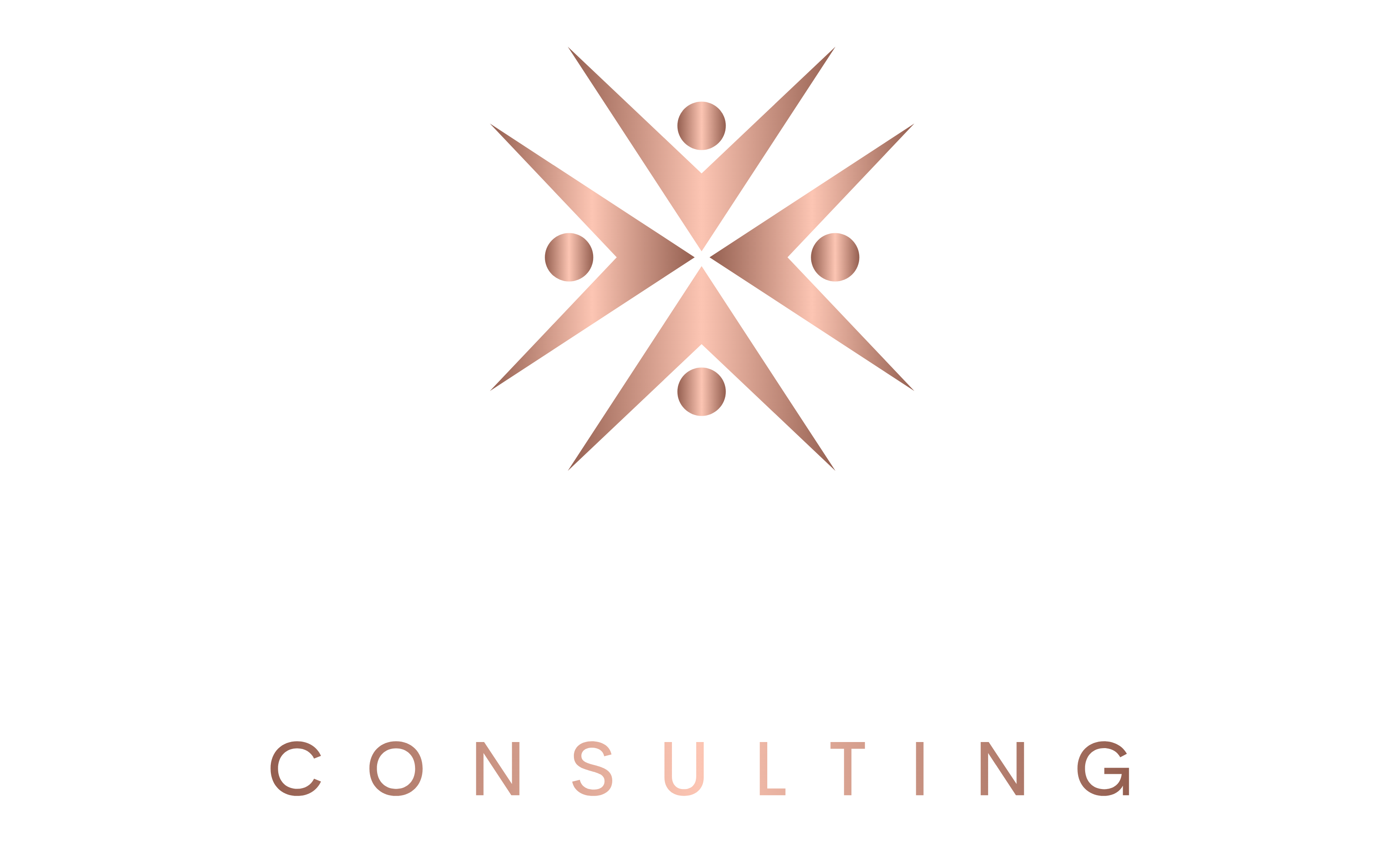 Scrub Store 101 Consulting