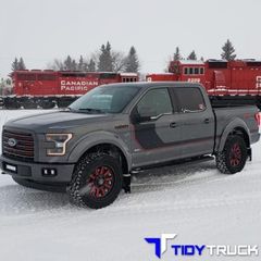 tidy-truck-14-5d0265c9a0dd4-350x350.jpg